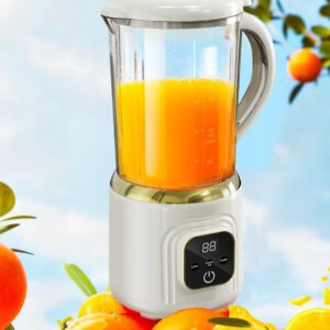juicer bottle with stainless steel blade